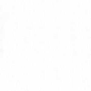 Meet your Posher, Amelia